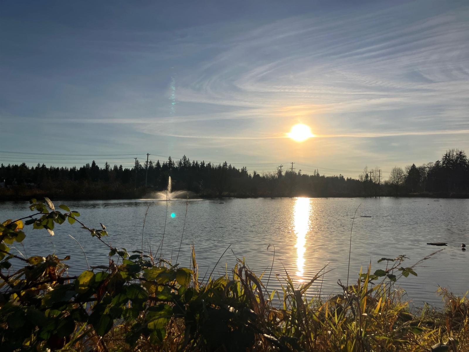 5259 197A STREET, Langley, British Columbia