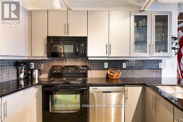 4a - 483 Queen Street, Toronto, Ontario  M5V 2A9 - Photo 10 - C12649620