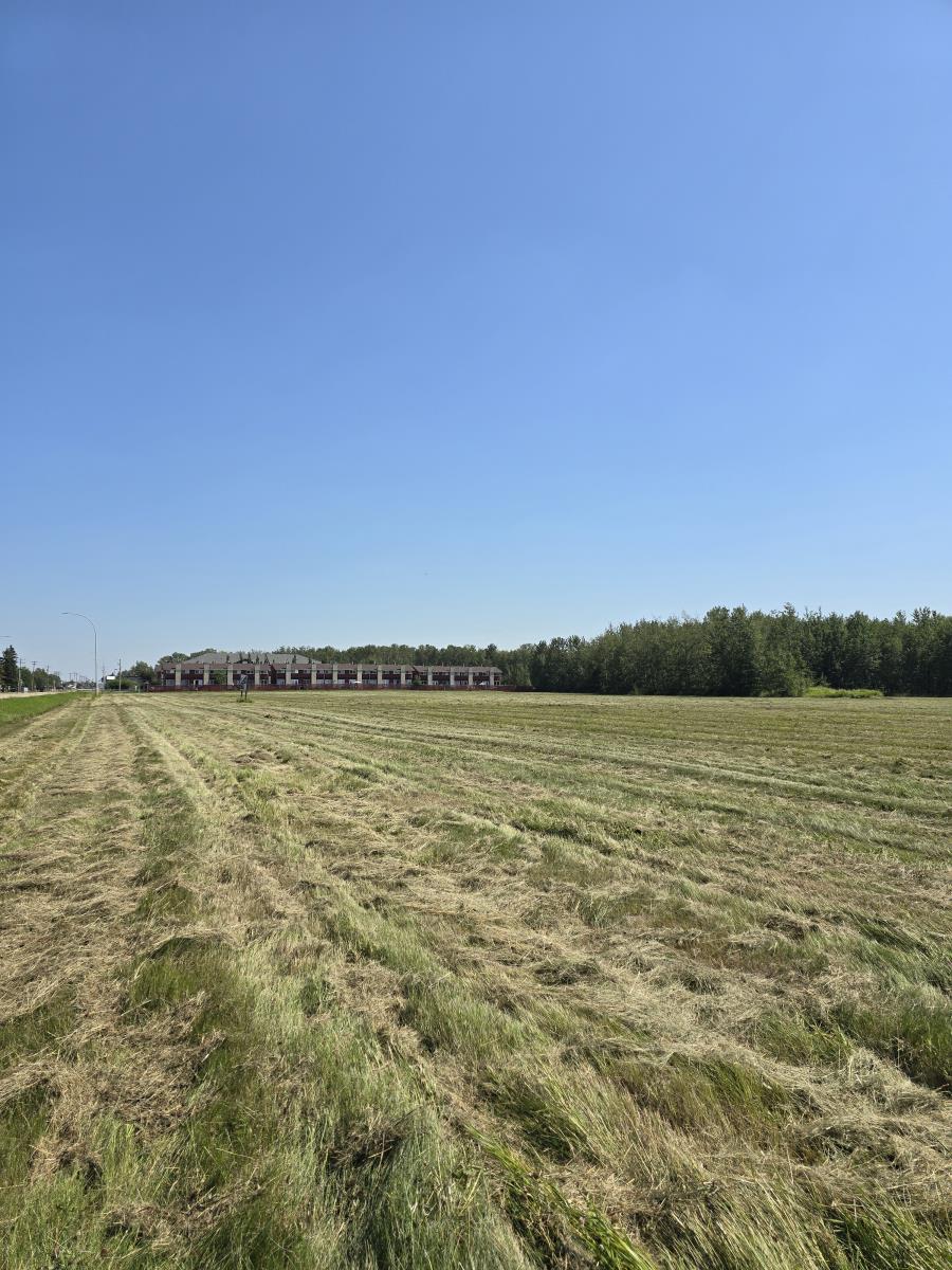 4520  49 Street, Redwater, Alberta  T0A 2W0 - Photo 3 - 43688719