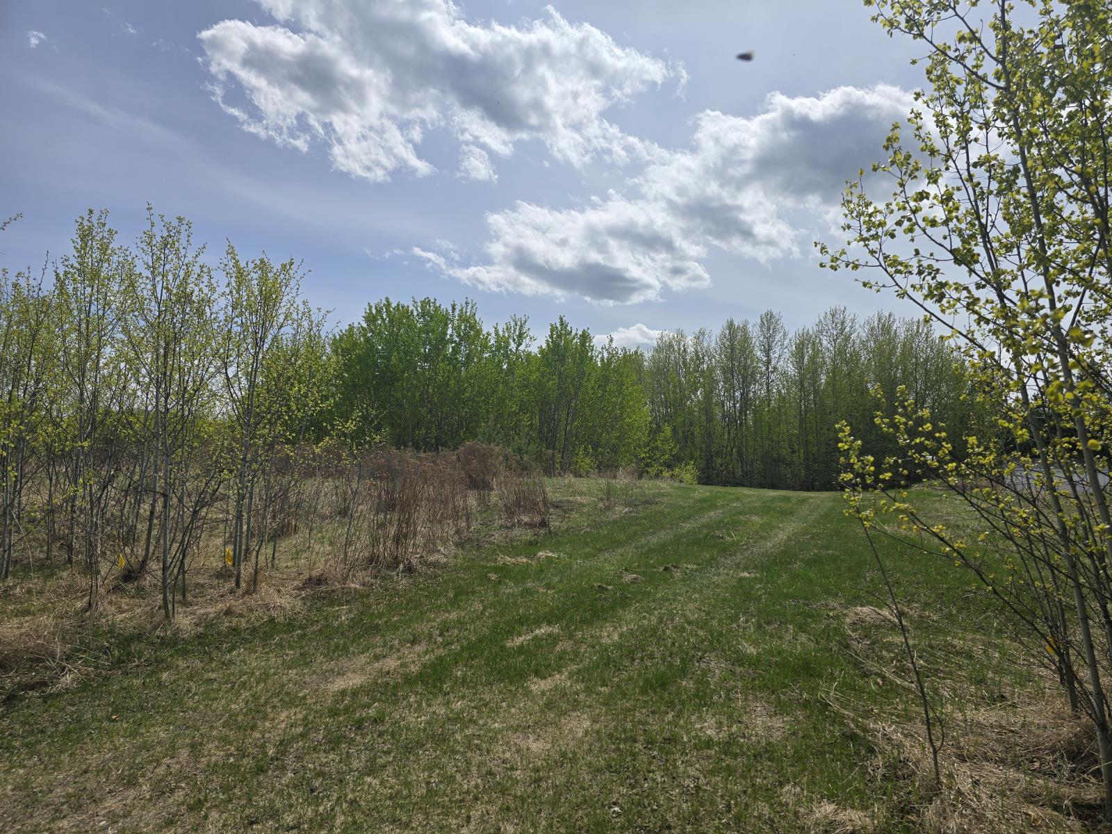 487  Lakeside Drive, Parkland County, Alberta  T7Z 2T7 - Photo 3 - 43688876