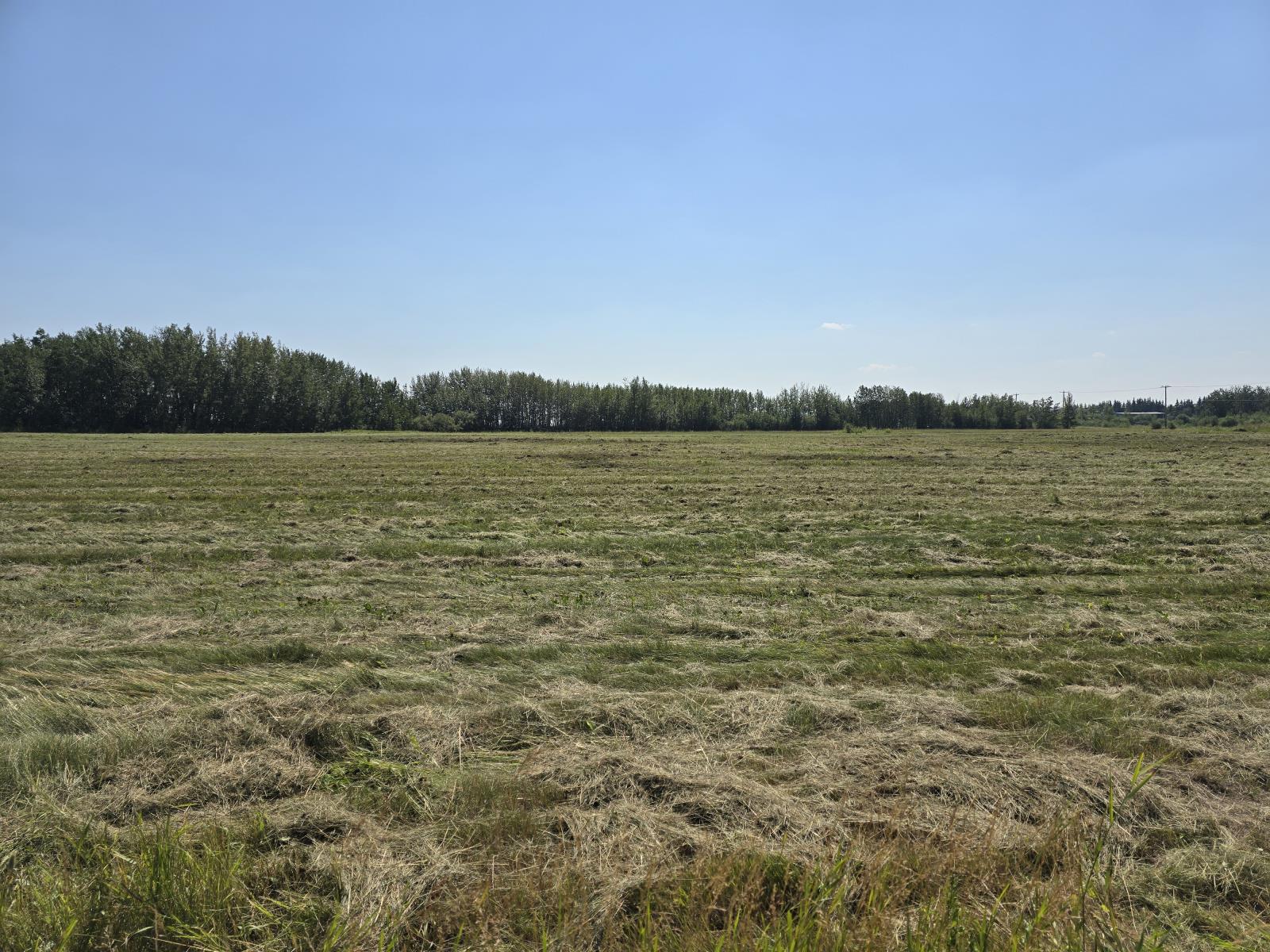 4520  49 Street, Redwater, Alberta  T0A 2W0 - Photo 4 - 43688719