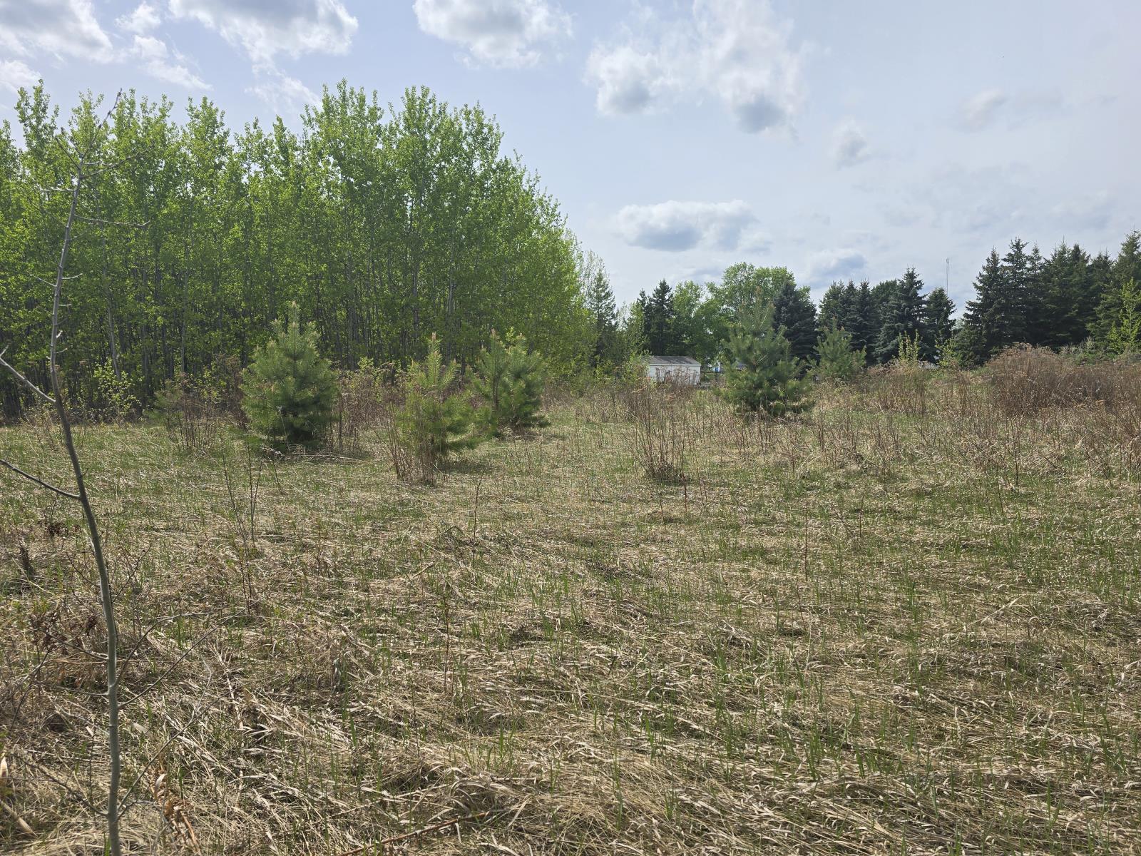 487  Lakeside Drive, Parkland County, Alberta  T7Z 2T7 - Photo 2 - 43688876