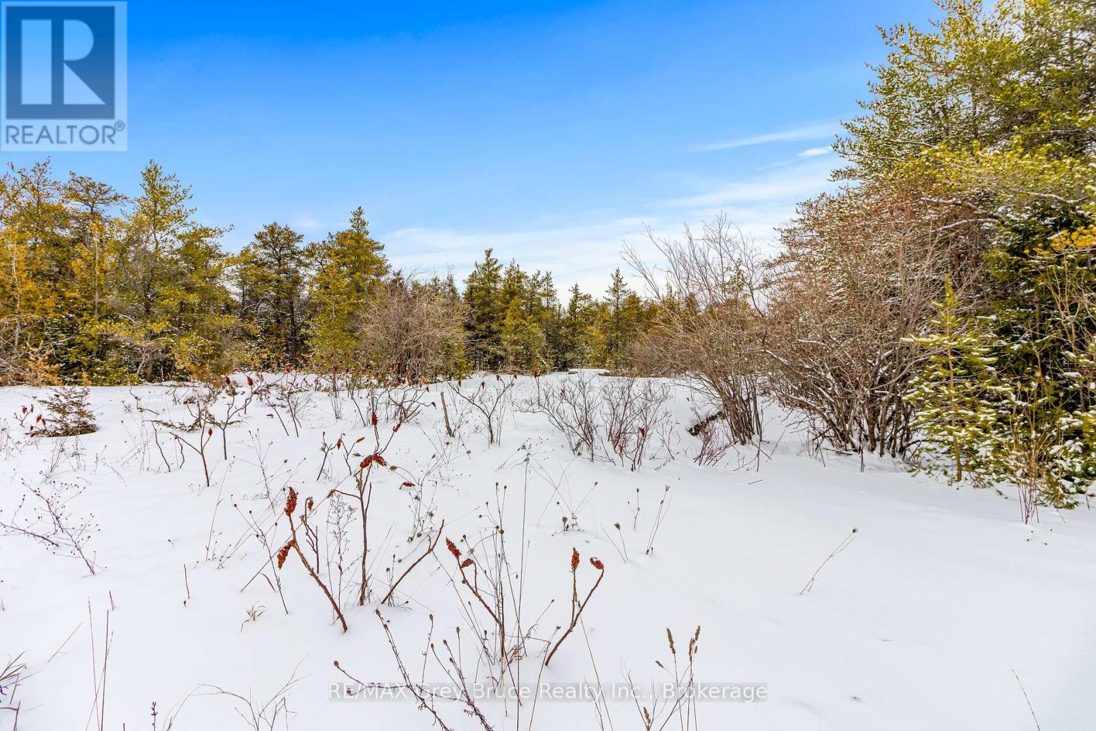 17 Dyers Bay Road, Northern Bruce Peninsula, Ontario  N0H 1Z0 - Photo 10 - X12649734