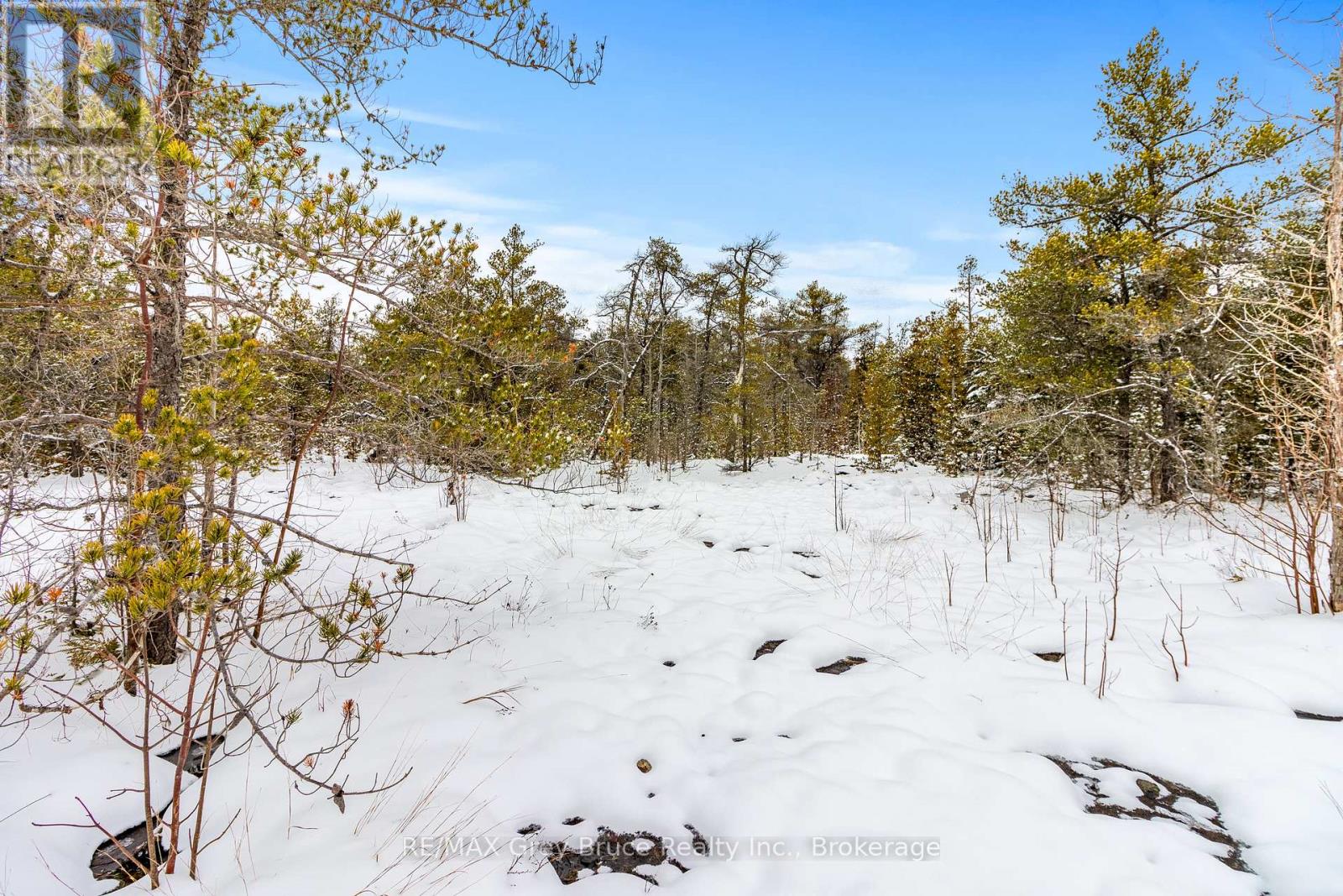 17 Dyers Bay Road, Northern Bruce Peninsula, Ontario  N0H 1Z0 - Photo 8 - X12649734