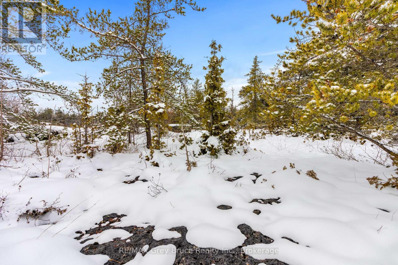17 Dyers Bay Road, Northern Bruce Peninsula, Ontario  N0H 1Z0 - Photo 9 - X12649734