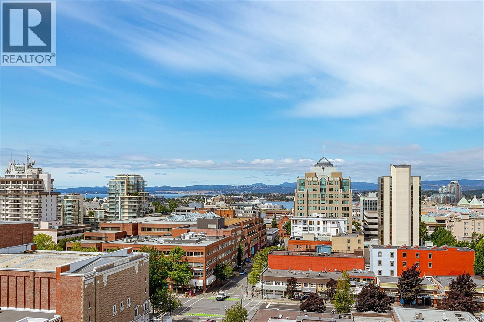 309 838 Broughton St, Victoria, British Columbia  V8W 1E4 - Photo 23 - 1022215