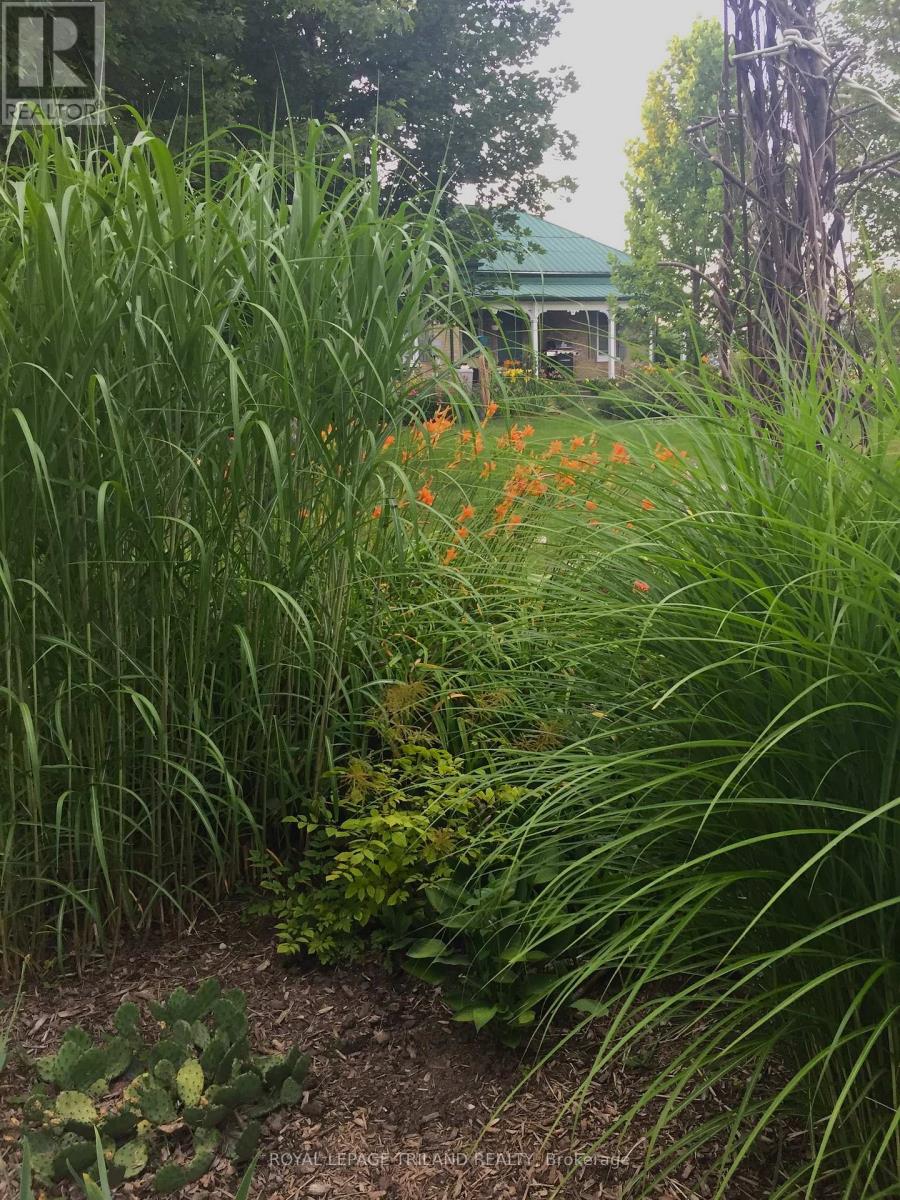 9855 John Street N, Southwold, Ontario  N0L 2E0 - Photo 36 - X12649788