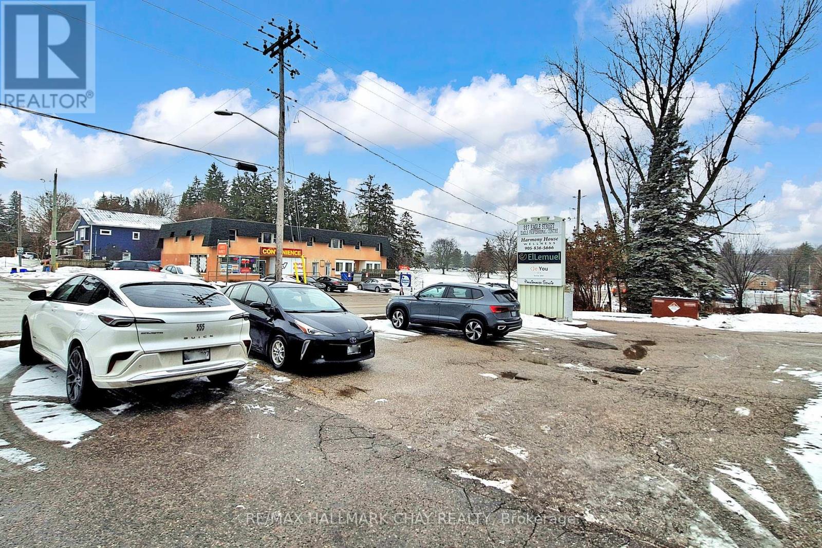 Main - 227 Eagle Street, Newmarket, Ontario  L3Y 1J8 - Photo 17 - N12647784