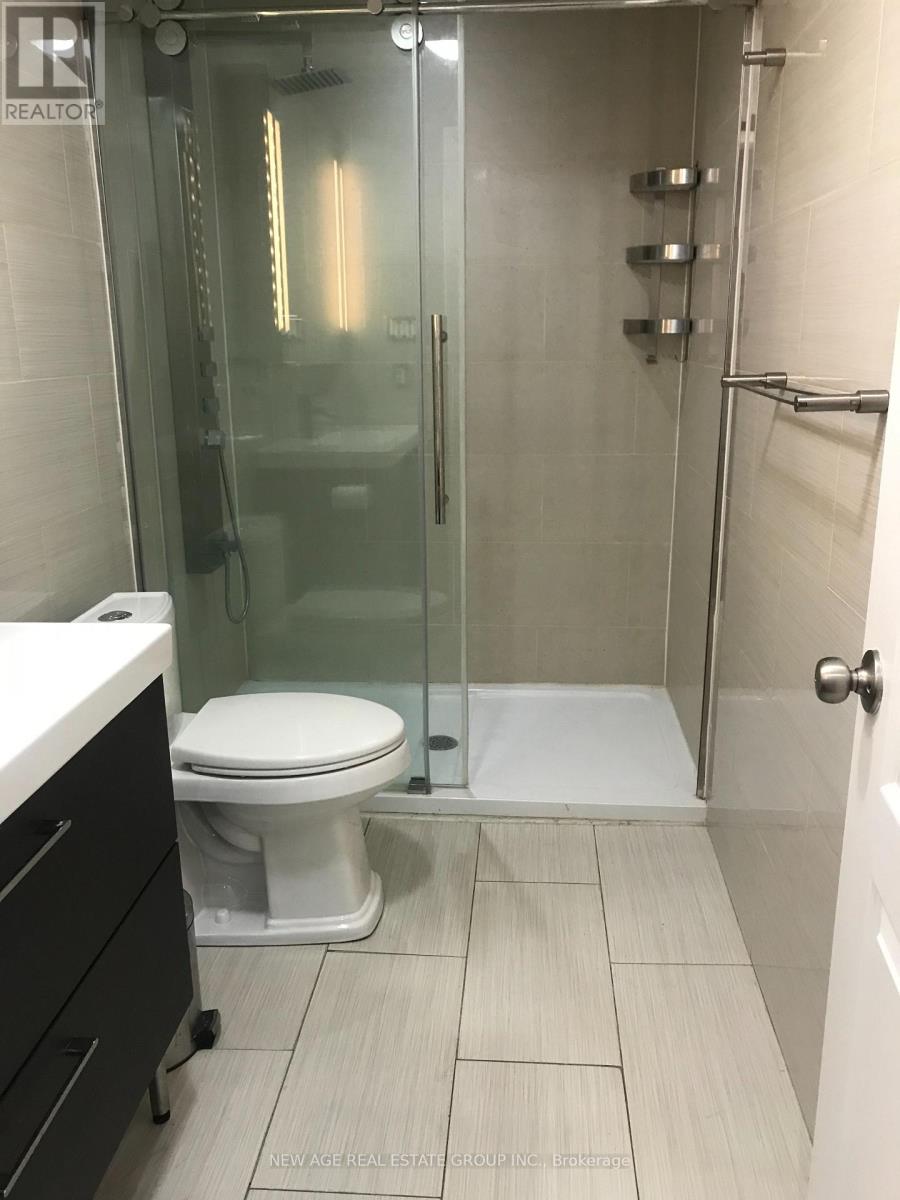 Basement - 80 Tatra Crescent, Brampton, Ontario  L6Y 0K5 - Photo 4 - W12649808