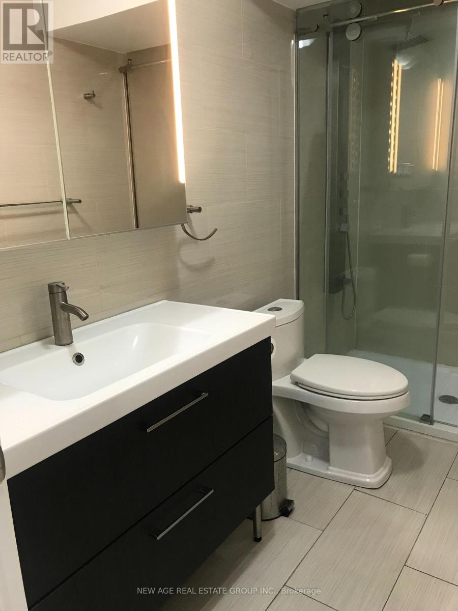 Basement - 80 Tatra Crescent, Brampton, Ontario  L6Y 0K5 - Photo 8 - W12649808