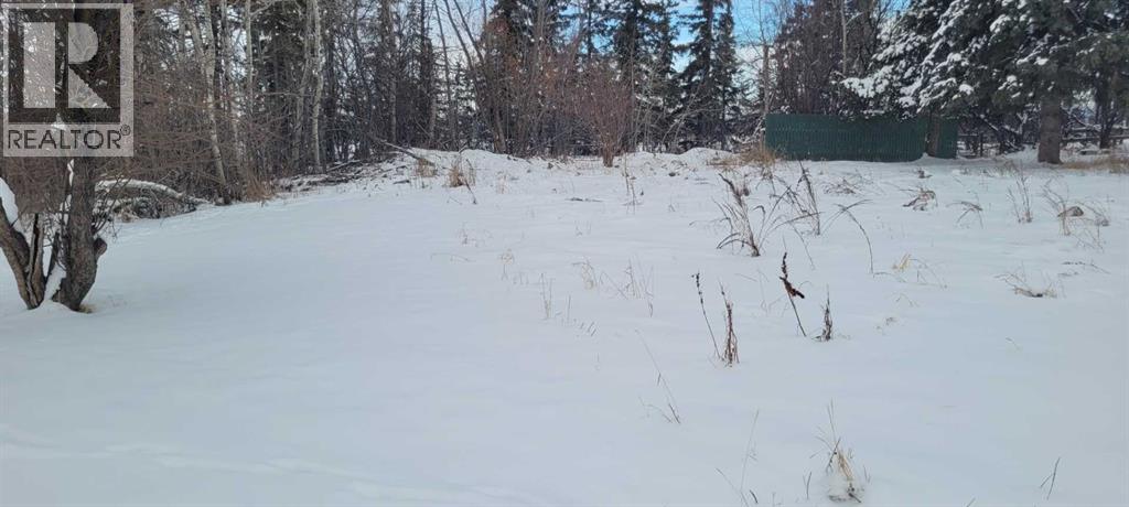 38449 Highway 20, Sylvan Lake, Alberta  T4S 1Z7 - Photo 4 - A2100343