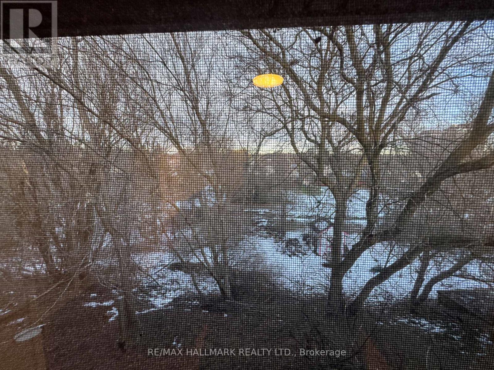 75 Bolton Avenue, Newmarket, Ontario  L3Y 2X3 - Photo 14 - N12649842