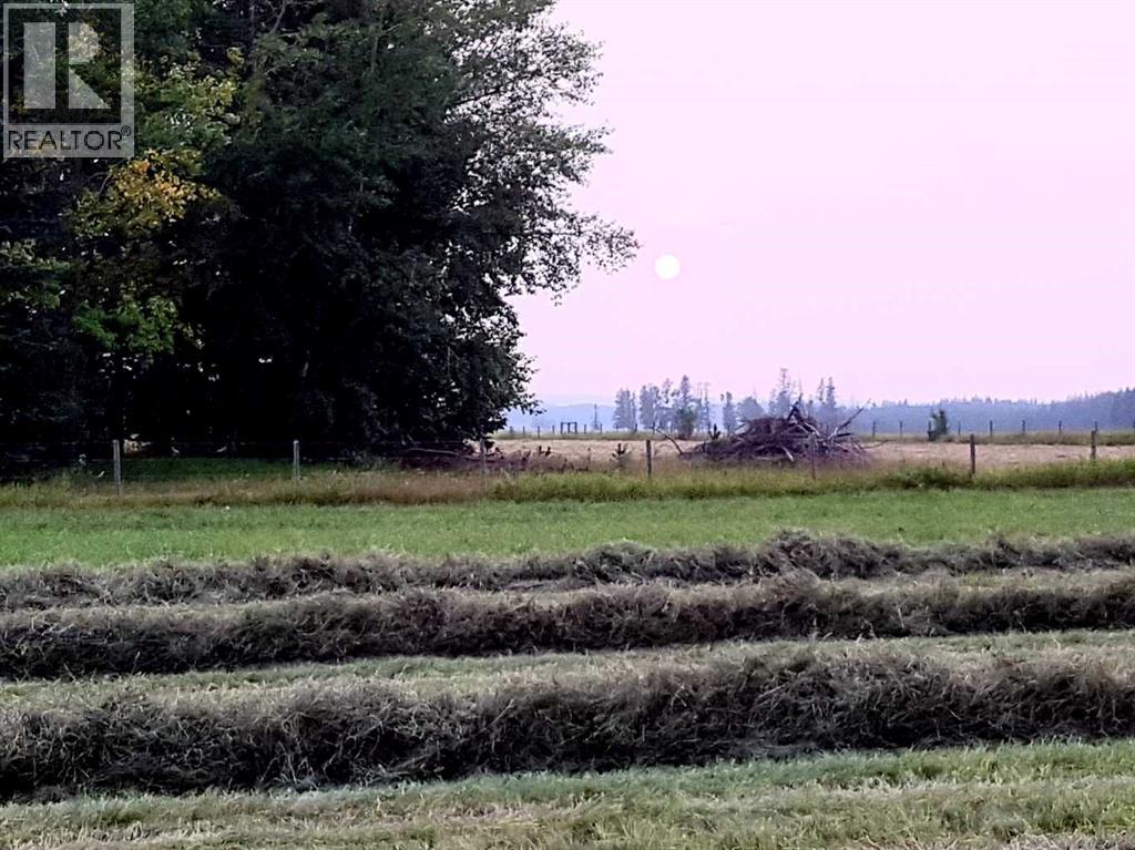 390039 Range Road 5-4, Rural Clearwater County, Alberta  T0M 0C0 - Photo 25 - A2184539