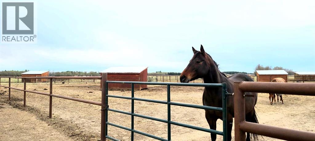 390039 Range Road 5-4, Rural Clearwater County, Alberta  T0M 0C0 - Photo 24 - A2184539
