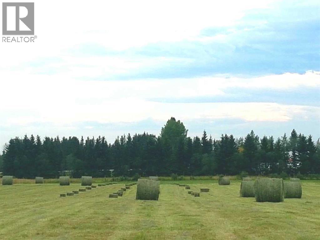 390039 Range Road 5-4, Rural Clearwater County, Alberta  T0M 0C0 - Photo 41 - A2184539