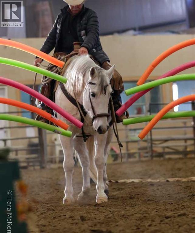 390039 Range Road 5-4, Rural Clearwater County, Alberta  T0M 0C0 - Photo 43 - A2184539