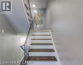 46 Guerin Avenue, Kitchener, Ontario  N2A 1S8 - Photo 22 - 40795031