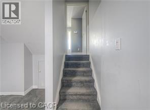 46 Guerin Avenue, Kitchener, Ontario  N2A 1S8 - Photo 33 - 40795031