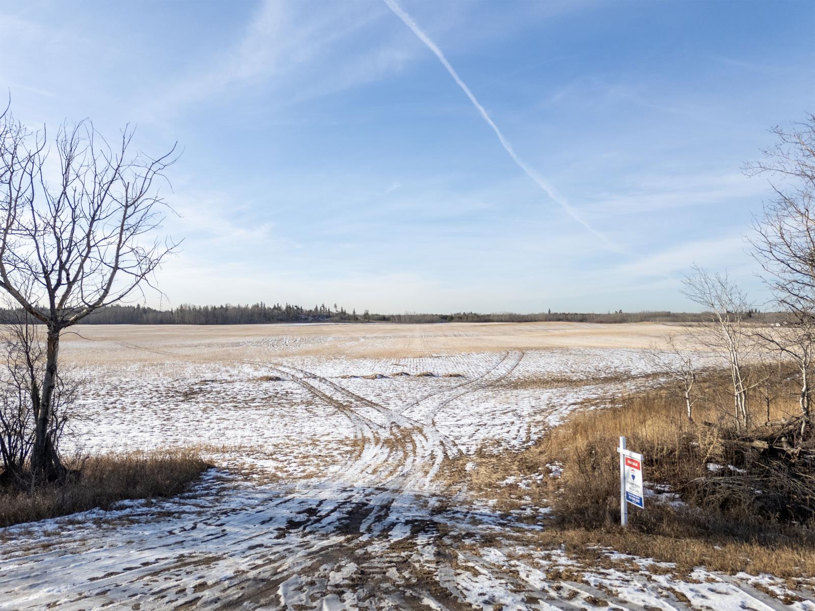 56511  Range Rd 221, Null, Alberta  T0A 1N4 - Photo 13 - 43860766