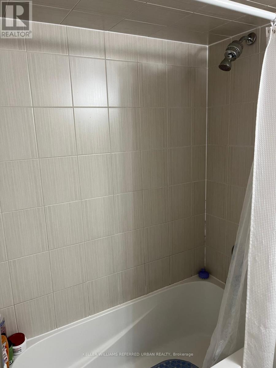 Bsmt 1 - 44 Regina Avenue, Toronto, Ontario  M6A 1R3 - Photo 22 - C12638108