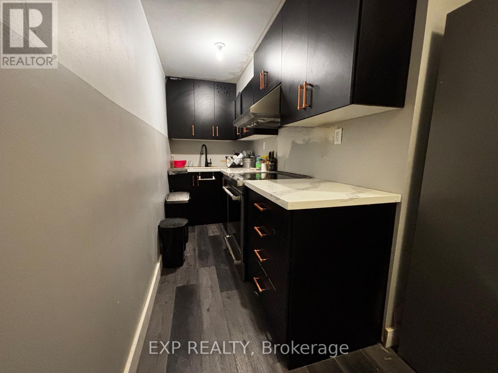 Basement - 1527 Merrittville Highway, Thorold, Ontario  L3B 5N5 - Photo 11 - X12650152