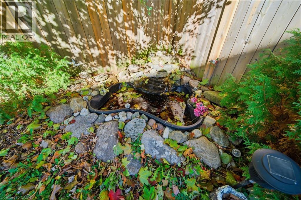 29 Monson Street, Jarvis, Ontario  N0A 1J0 - Photo 45 - 40784307