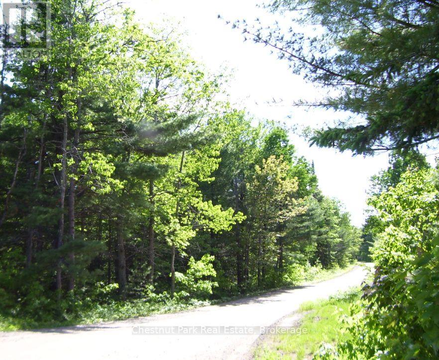 1839 Bear Cave Road, Muskoka Lakes, Ontario  P0B 1G0 - Photo 2 - X12650404