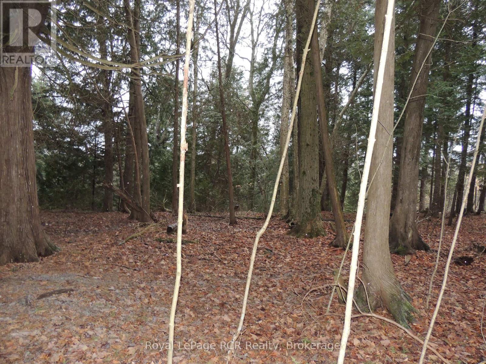 Ptlt 48 North Line, West Grey, Ontario  N0C 1K0 - Photo 6 - X12543096