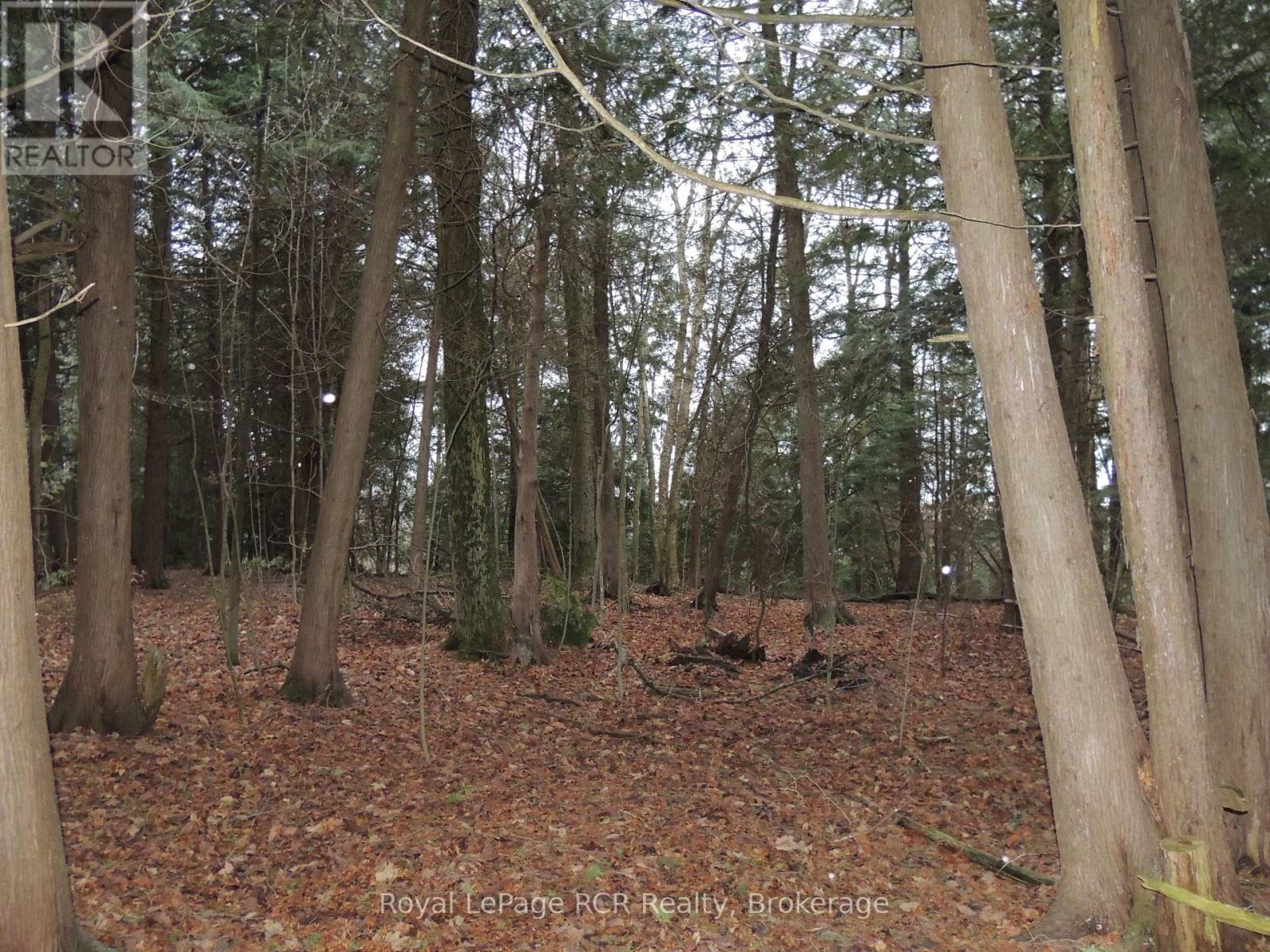 Ptlt 48 North Line, West Grey, Ontario  N0C 1K0 - Photo 5 - X12543096