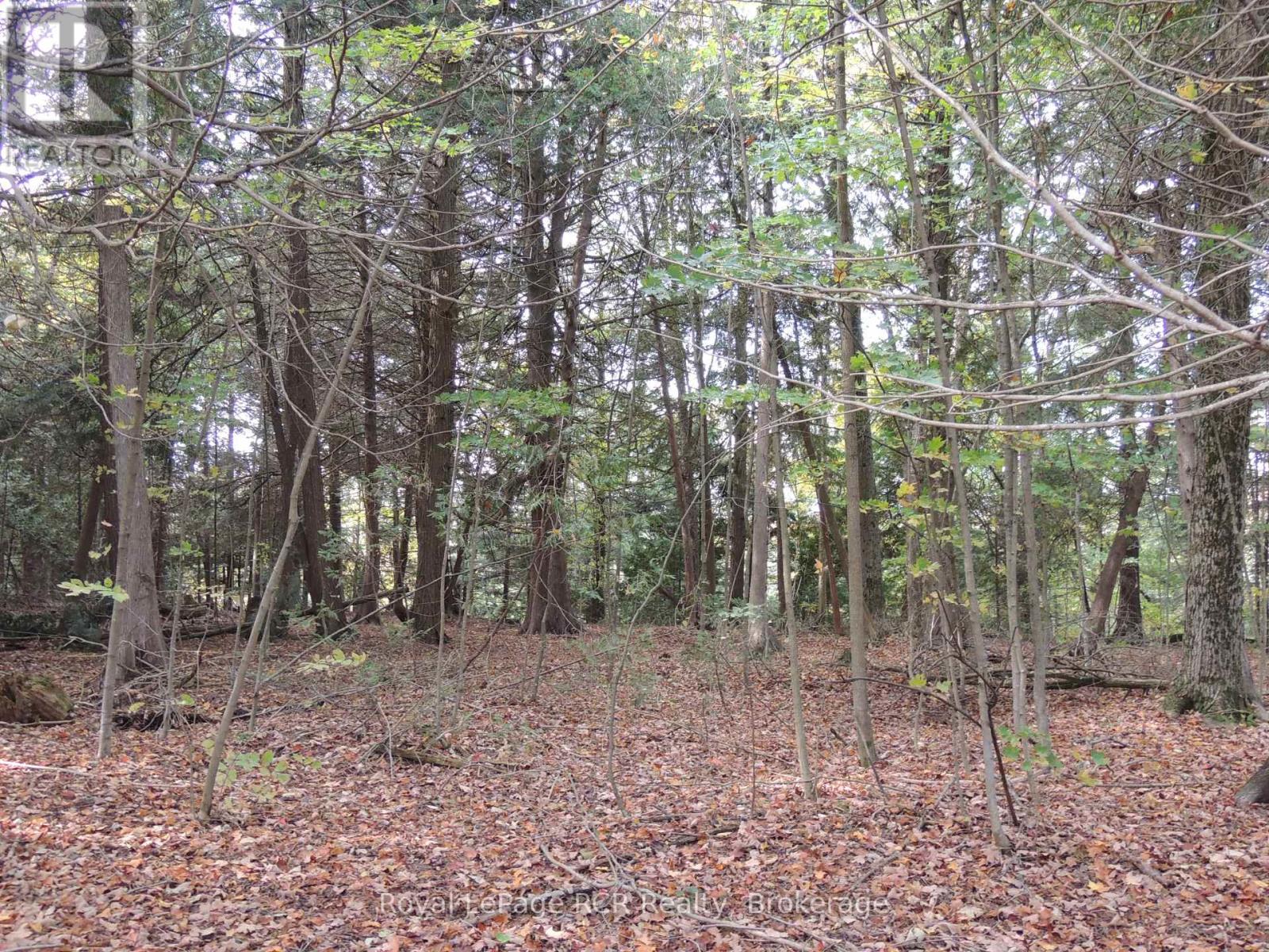 Ptlt 48 North Line, West Grey, Ontario  N0C 1K0 - Photo 8 - X12543096