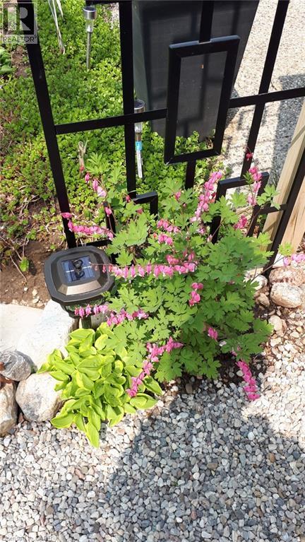 205 Highland Crescent Unit# 21, Kitchener, Ontario  N2M 5L6 - Photo 26 - 40795040