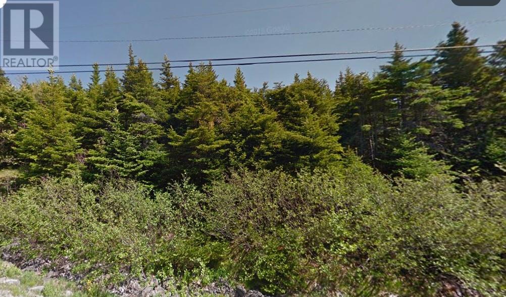 60-64 Doran's Lane, Outer Cove, Newfoundland & Labrador