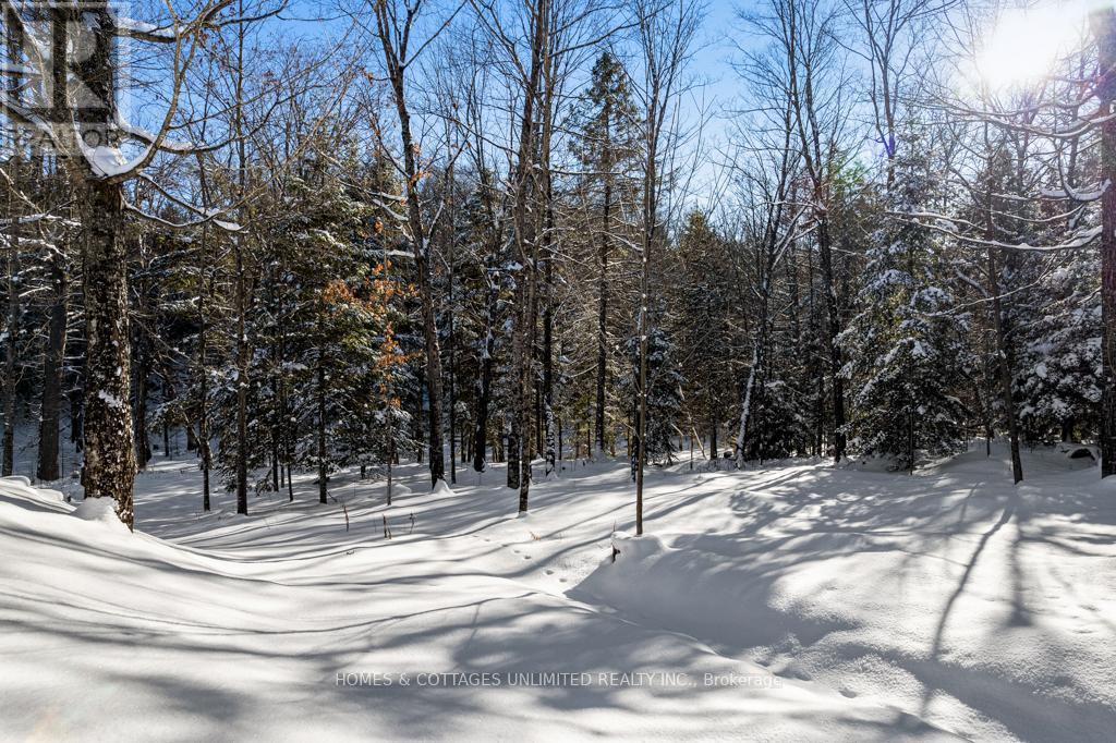 7295 Road 506 Road, Frontenac, Ontario  K0H 2M0 - Photo 13 - X12650504