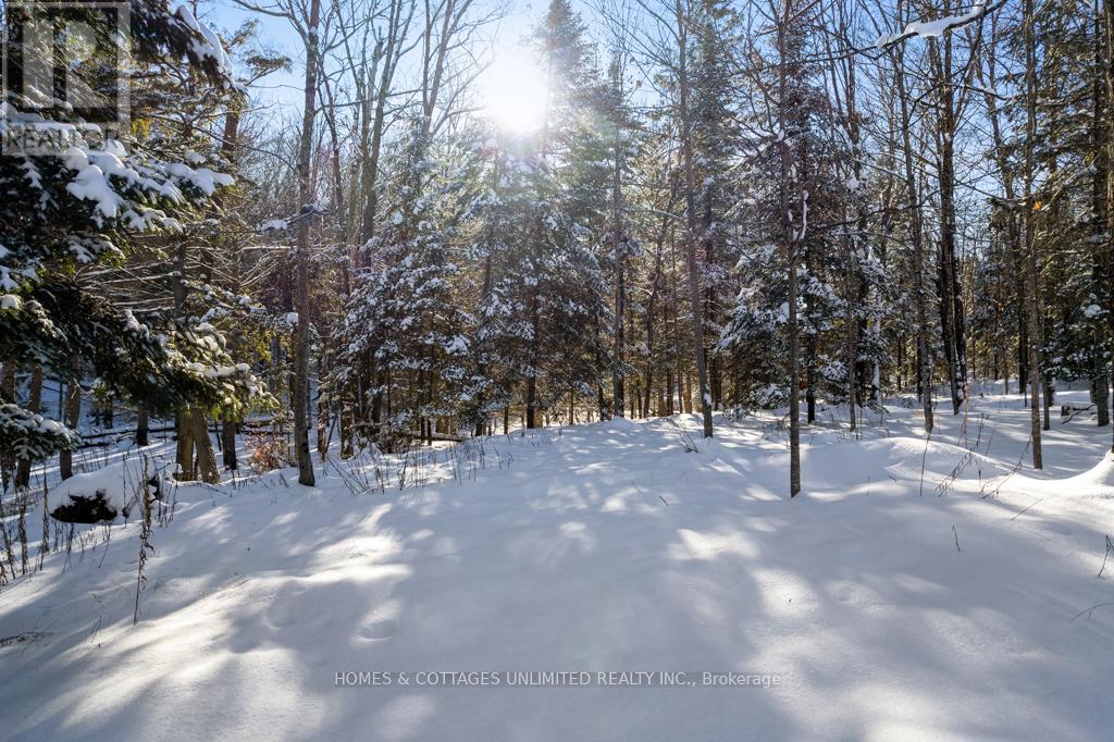 7295 Road 506 Road, Frontenac, Ontario  K0H 2M0 - Photo 17 - X12650504