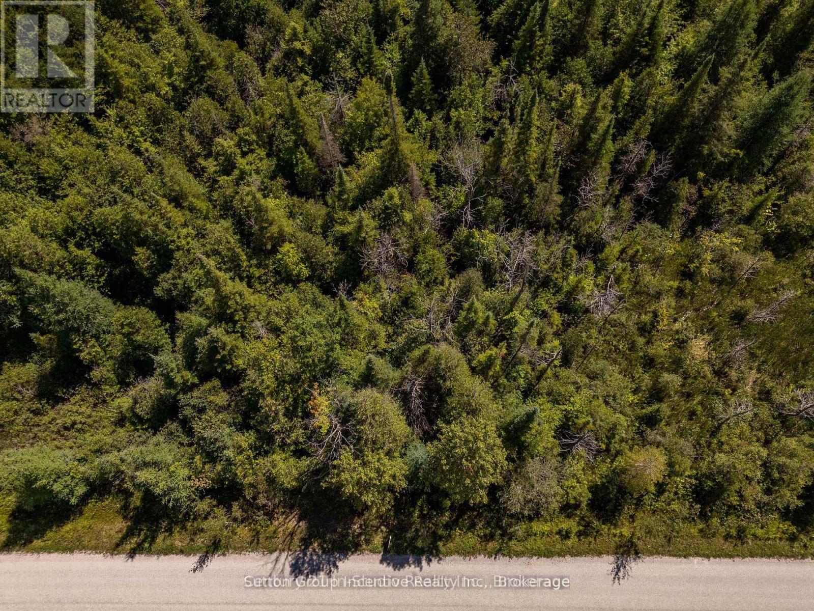 49 Lake Drive, West Grey, Ontario  N0C 1H0 - Photo 3 - X12650580