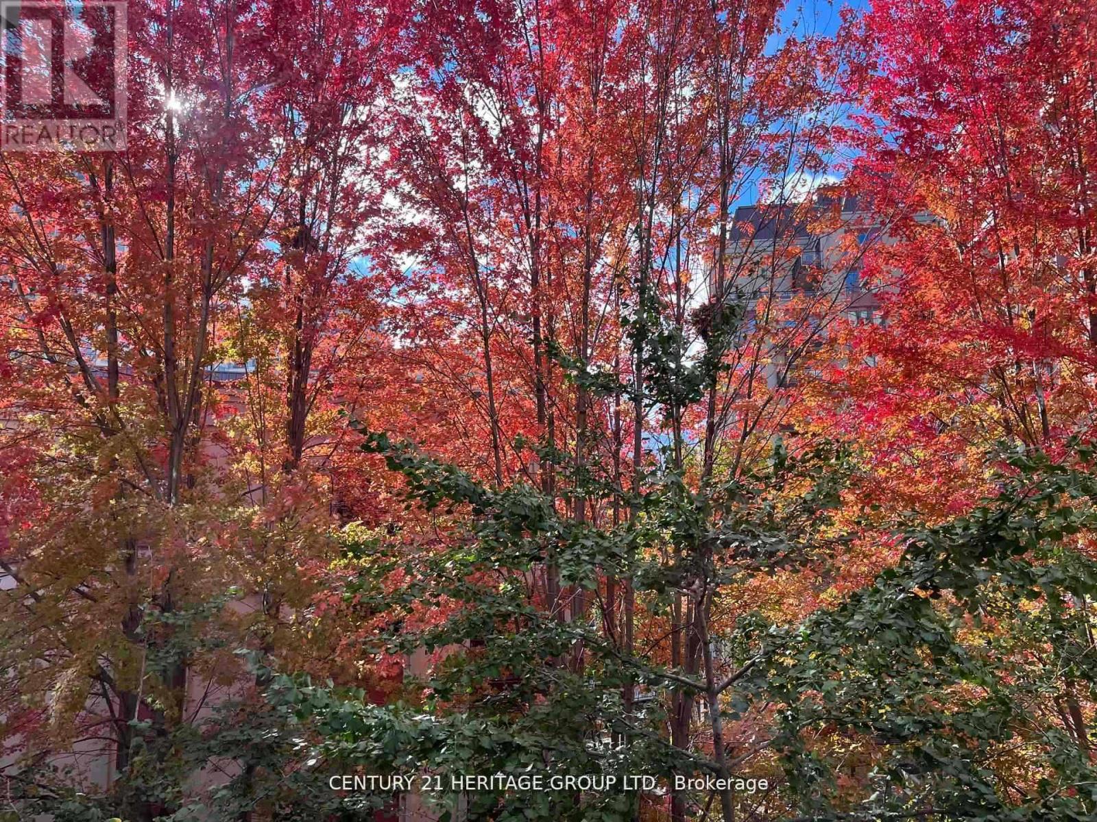 309 - 23 Rean Drive, Toronto, Ontario  M2K 0A5 - Photo 29 - C12650592