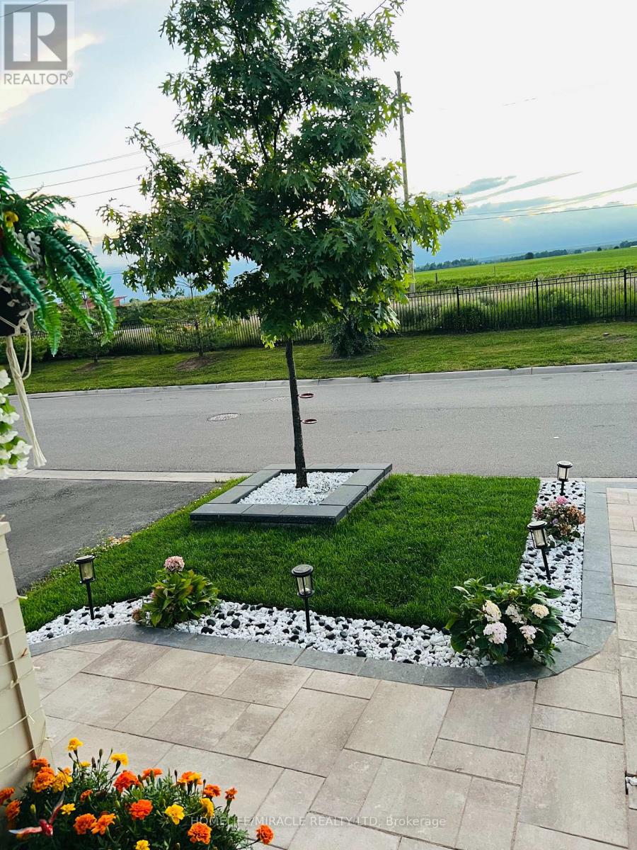 19 Exhibition Crescent, Brampton, Ontario  L7A 4B9 - Photo 42 - W12650596