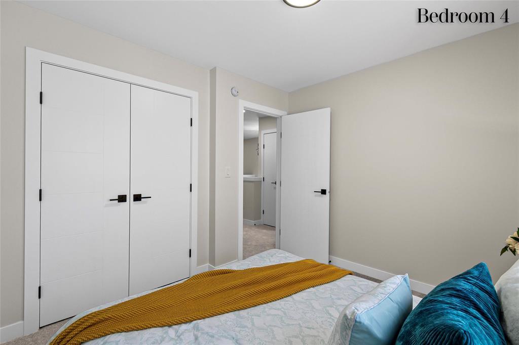 229 Numeracy Lane, Winnipeg, Manitoba  R2P 3A6 - Photo 29 - 202530181