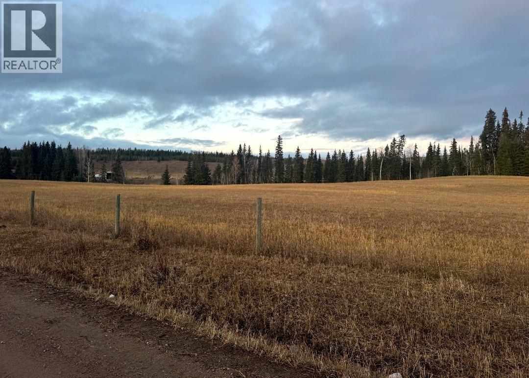 22578 Savory Road, Endako, British Columbia  V0J 1L0 - Photo 12 - R3074435