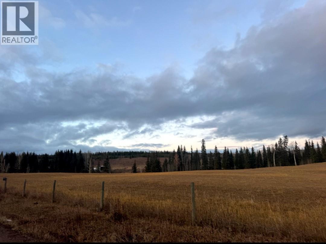 22578 Savory Road, Endako, British Columbia  V0J 1L0 - Photo 13 - R3074435