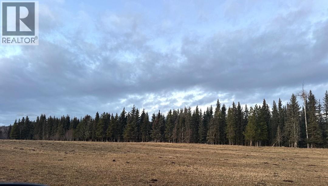 22578 Savory Road, Endako, British Columbia  V0J 1L0 - Photo 14 - R3074435