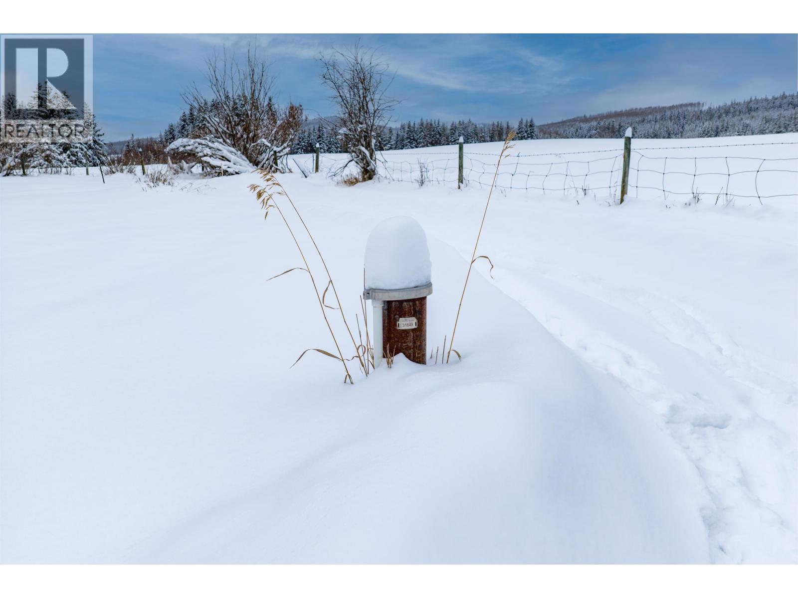 22578 Savory Road, Endako, British Columbia  V0J 1L0 - Photo 29 - R3074435