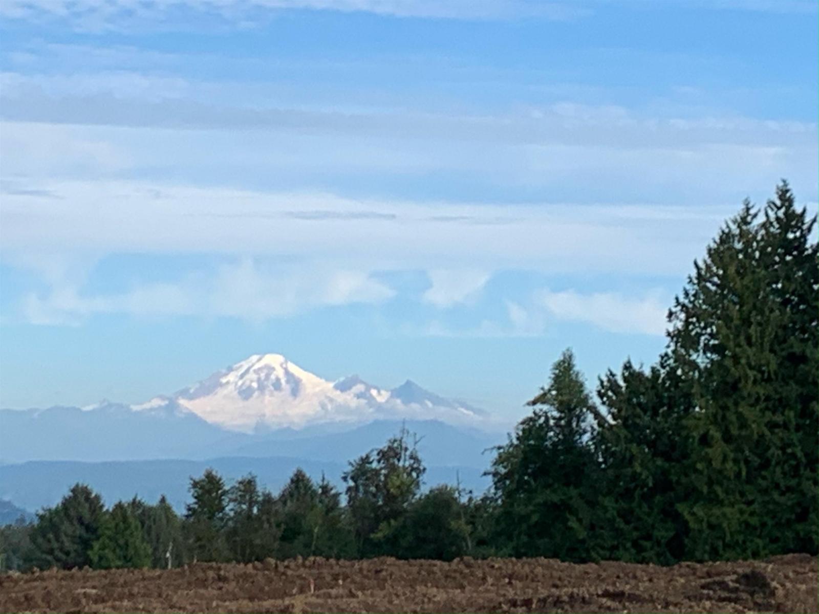 7141 Satchell Street, Abbotsford, British Columbia  V4X 2E3 - Photo 31 - R3074287