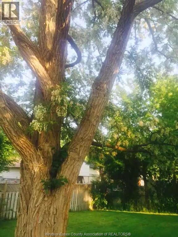 3735 Glenwood, Windsor, Ontario  N9E 2Y6 - Photo 46 - 25031646