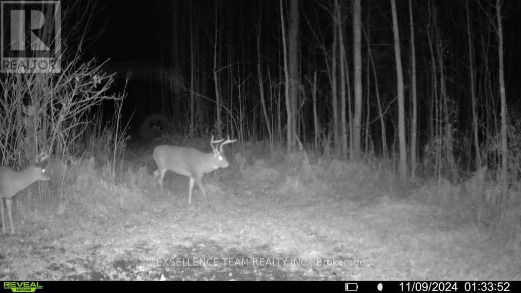 0 Raymond Road, South Stormont, Ontario  K0C 1Y0 - Photo 14 - X12613674