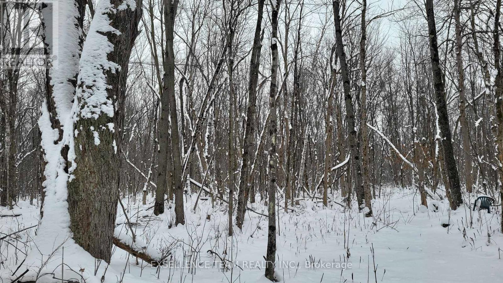 0 Raymond Road, South Stormont, Ontario  K0C 1Y0 - Photo 10 - X12613674