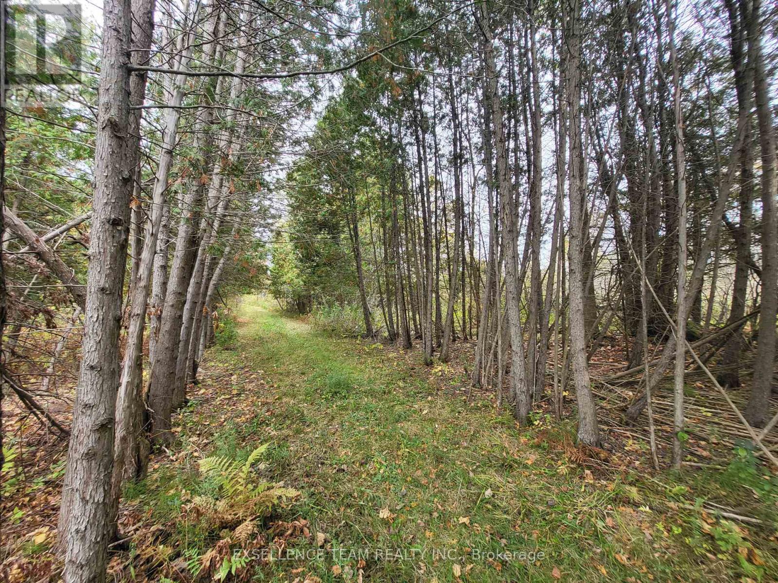 0 Raymond Road, South Stormont, Ontario  K0C 1Y0 - Photo 19 - X12613674