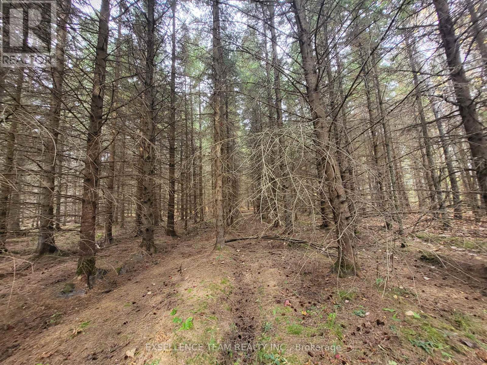 0 Raymond Road, South Stormont, Ontario  K0C 1Y0 - Photo 20 - X12613674