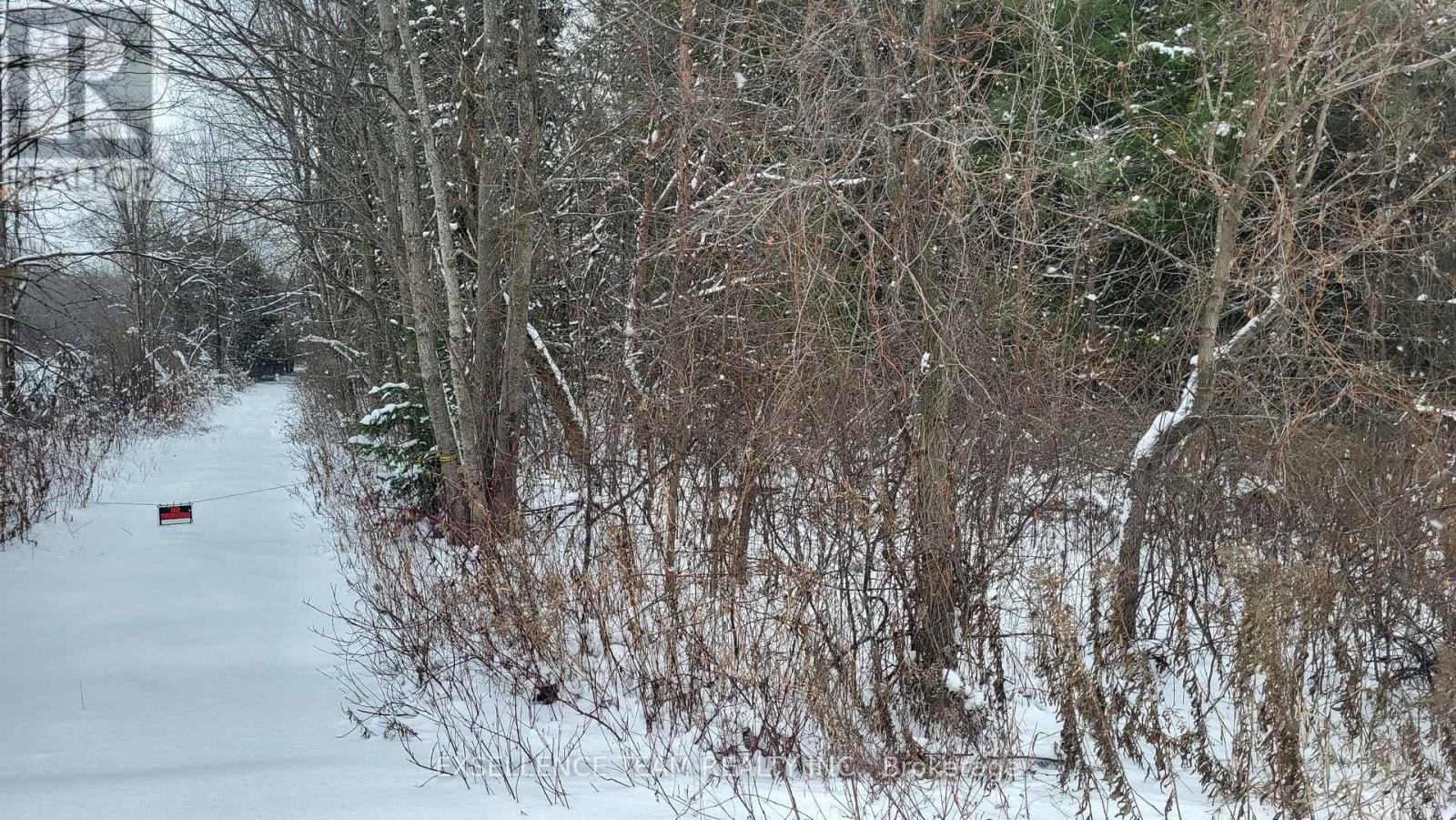 0 Raymond Road, South Stormont, Ontario  K0C 1Y0 - Photo 2 - X12613674