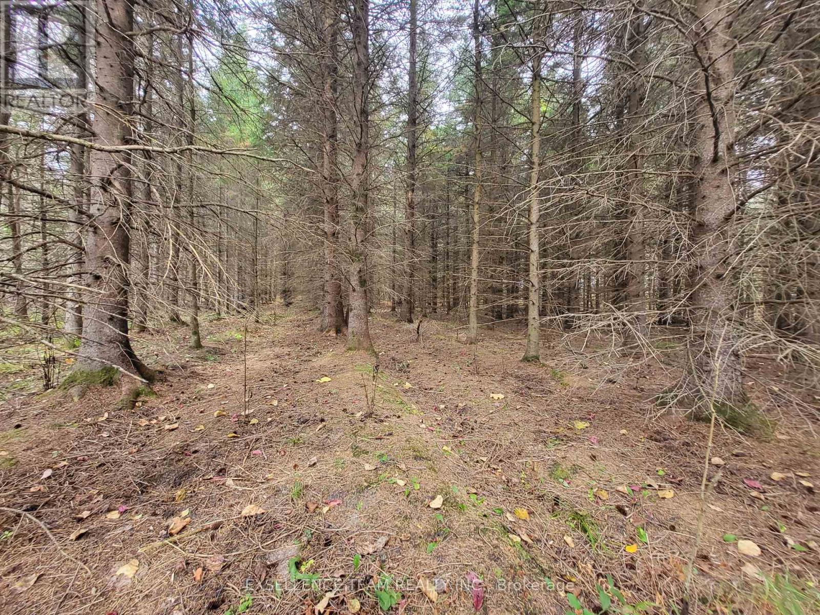 0 Raymond Road, South Stormont, Ontario  K0C 1Y0 - Photo 21 - X12613674